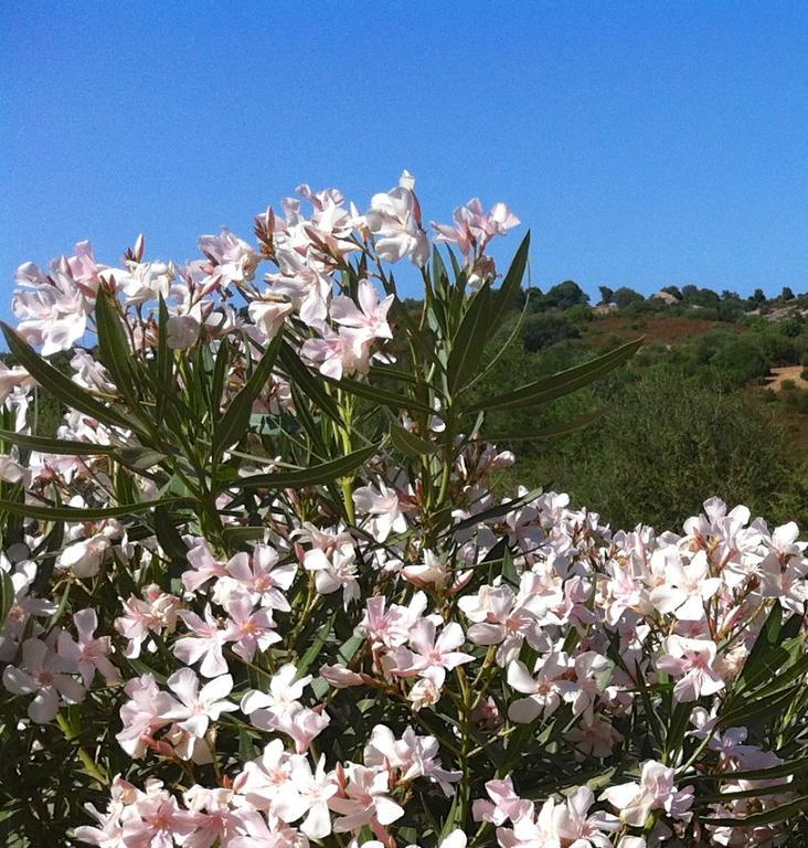 Le Tre Pietre Holiday home *